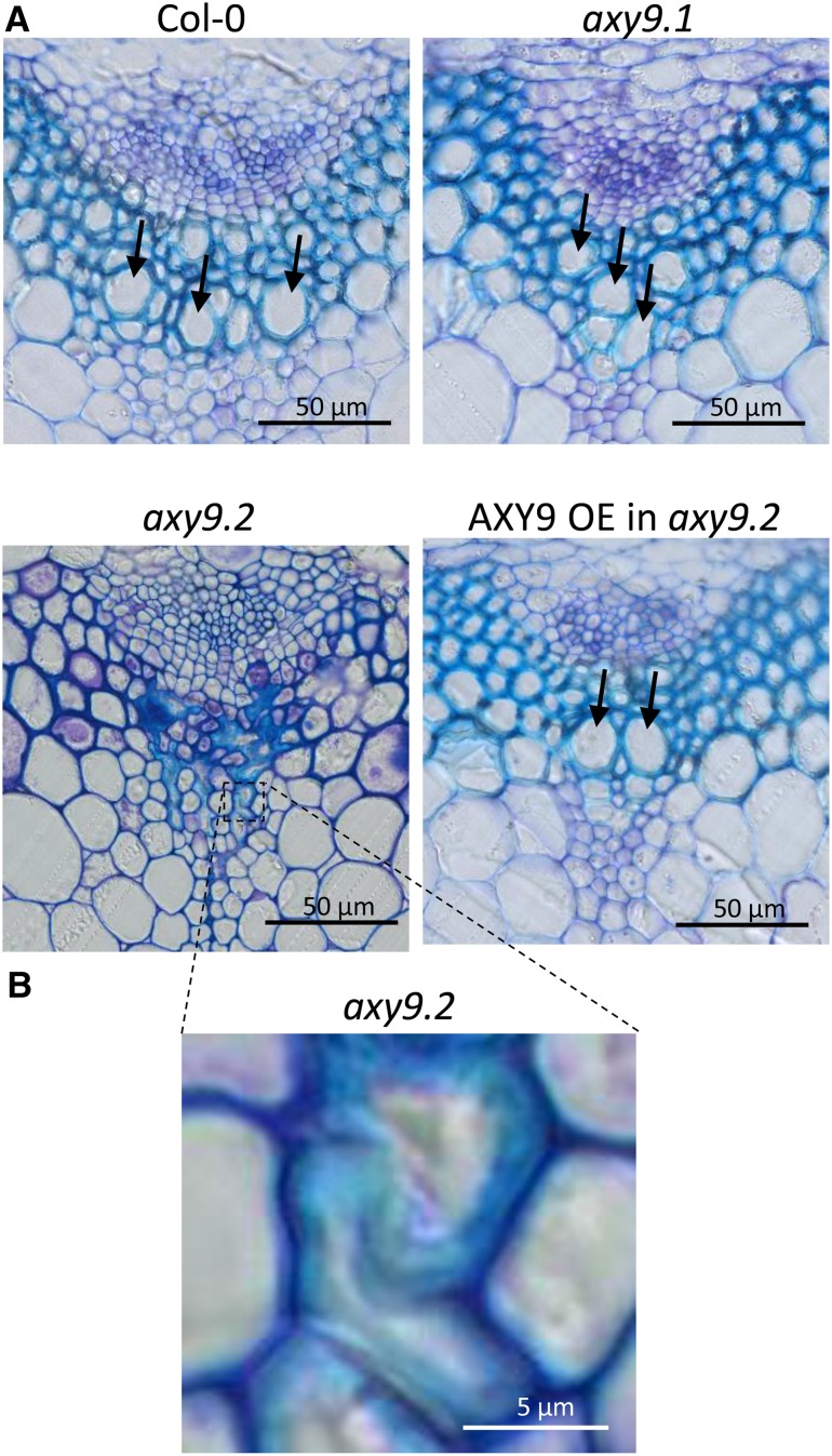 Figure 3.