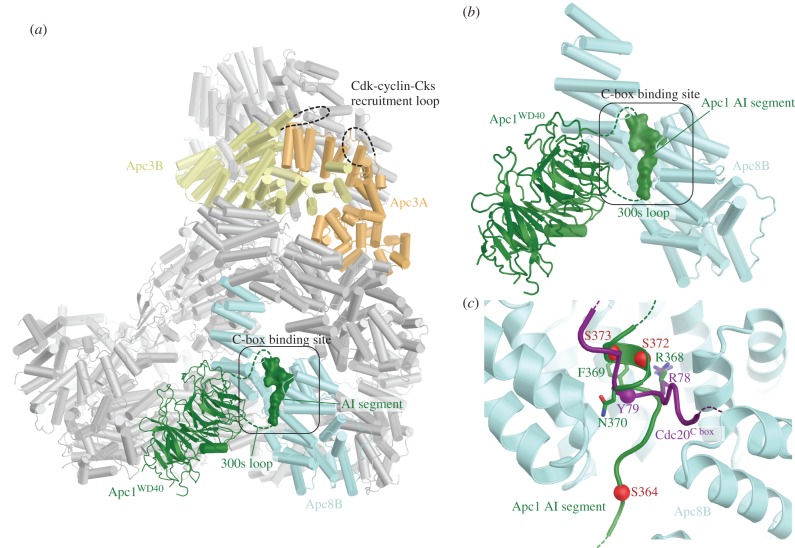 Figure 9.