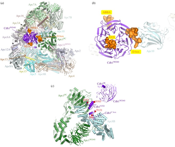 Figure 3.