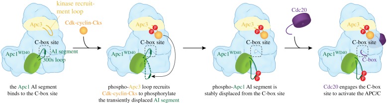 Figure 10.