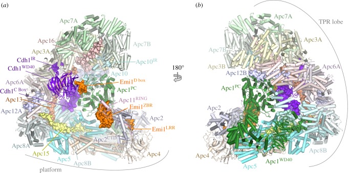 Figure 1.