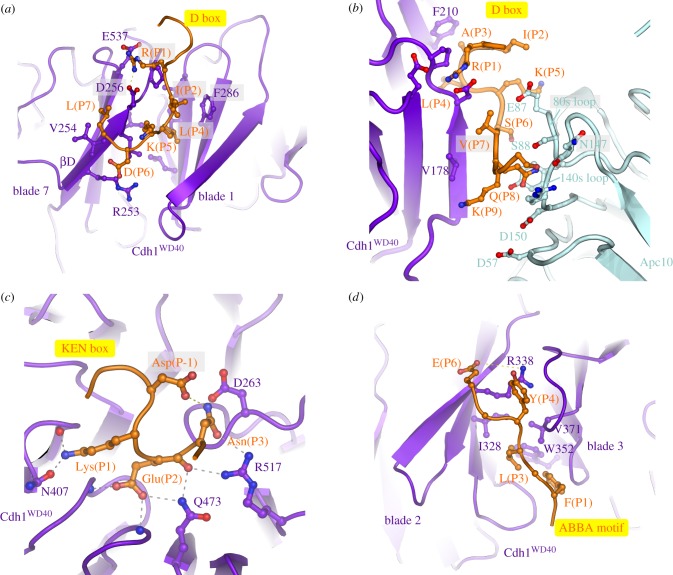 Figure 4.