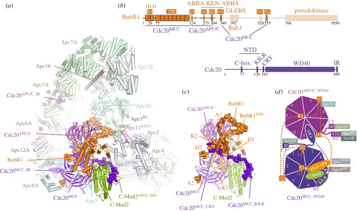 Figure 11.