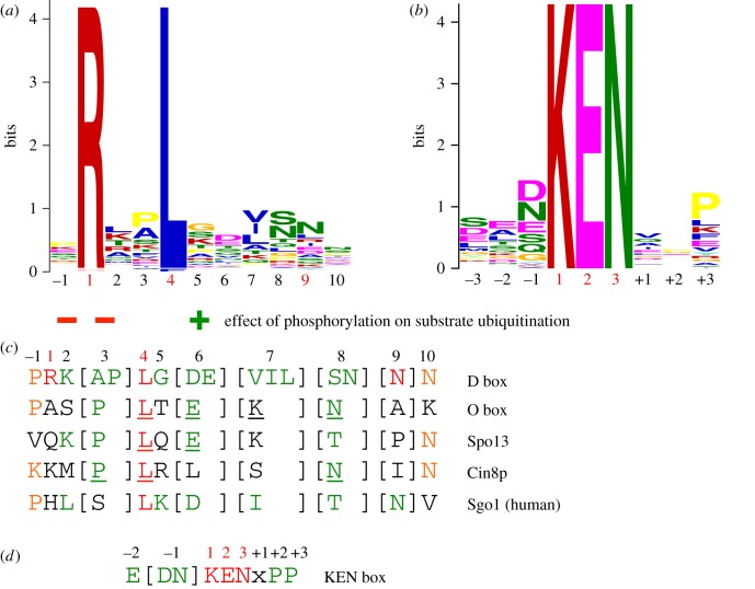 Figure 5.