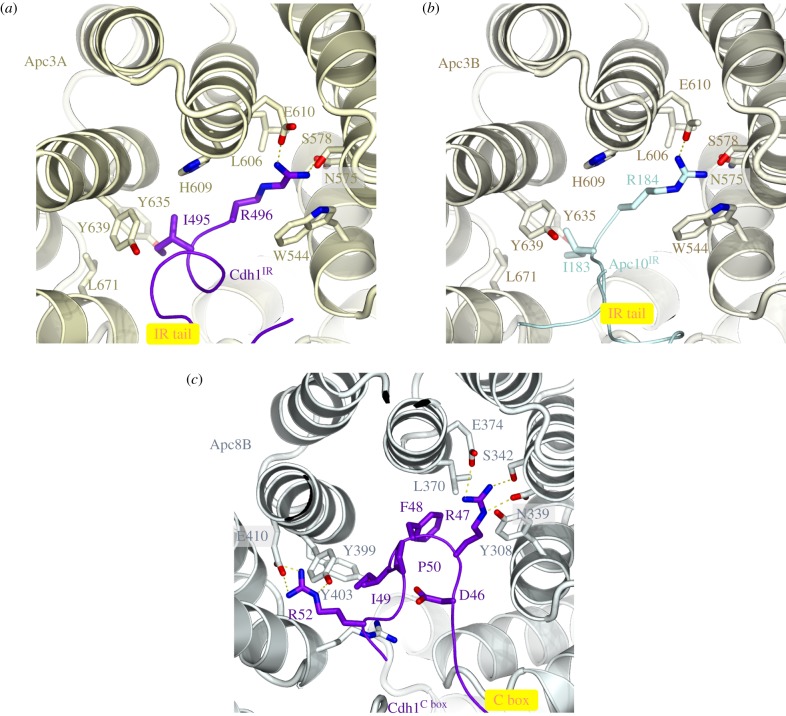 Figure 2.