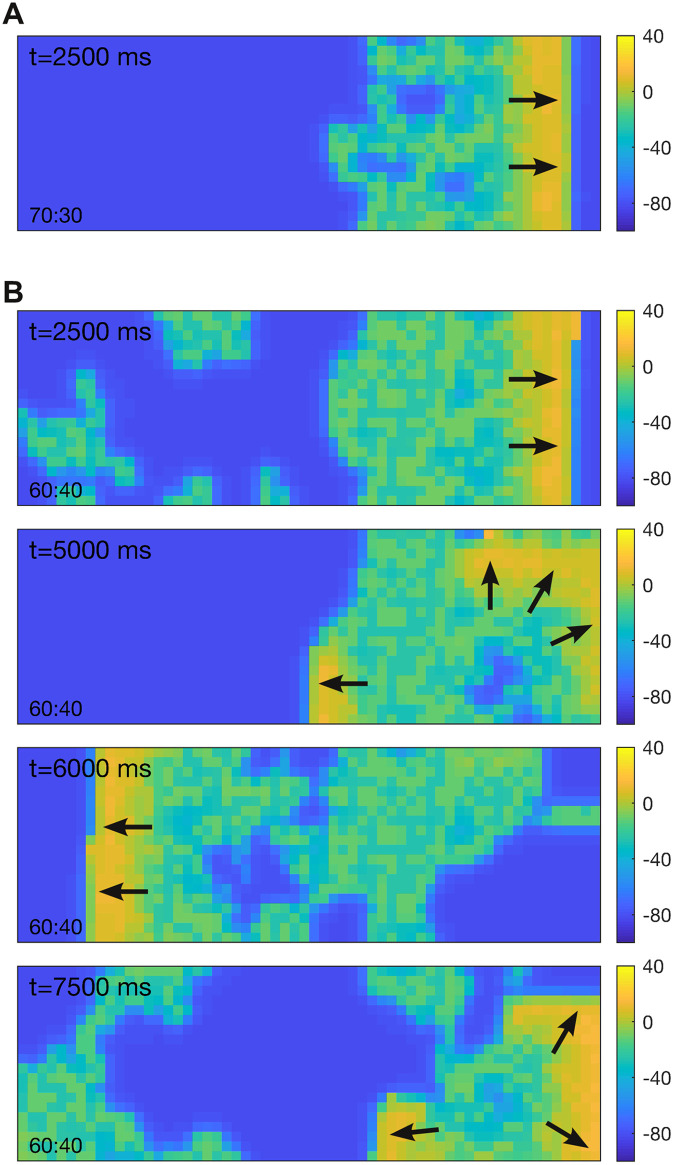 Fig 11