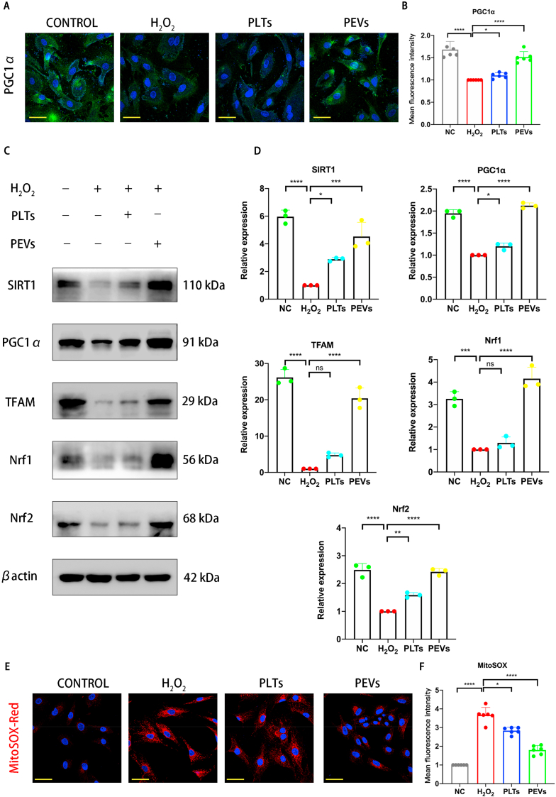 Fig. 7