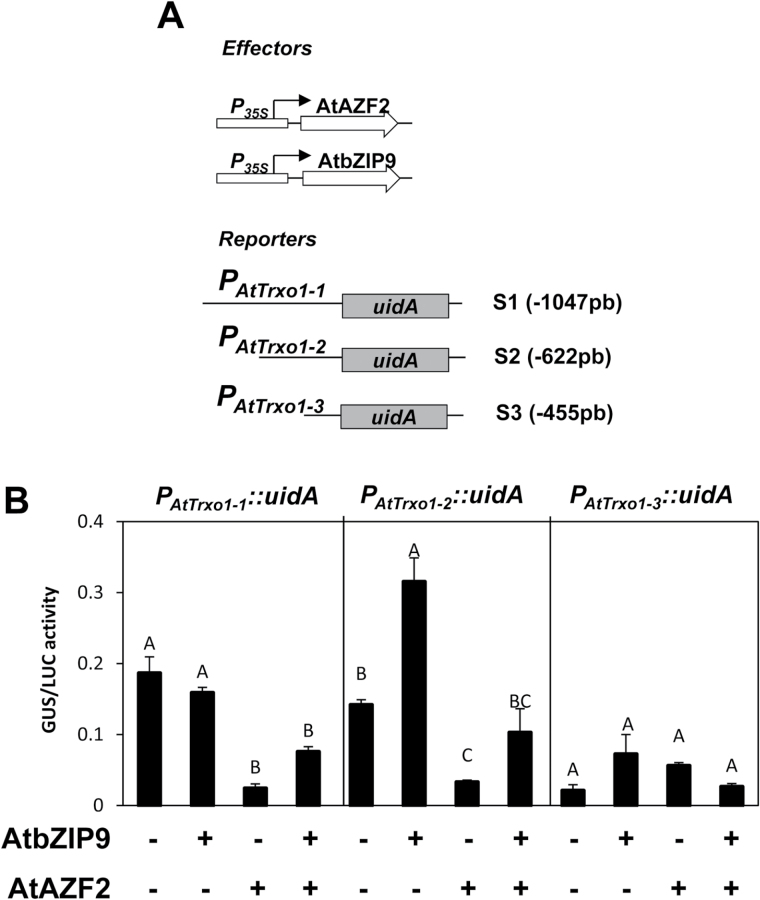 Fig. 6.