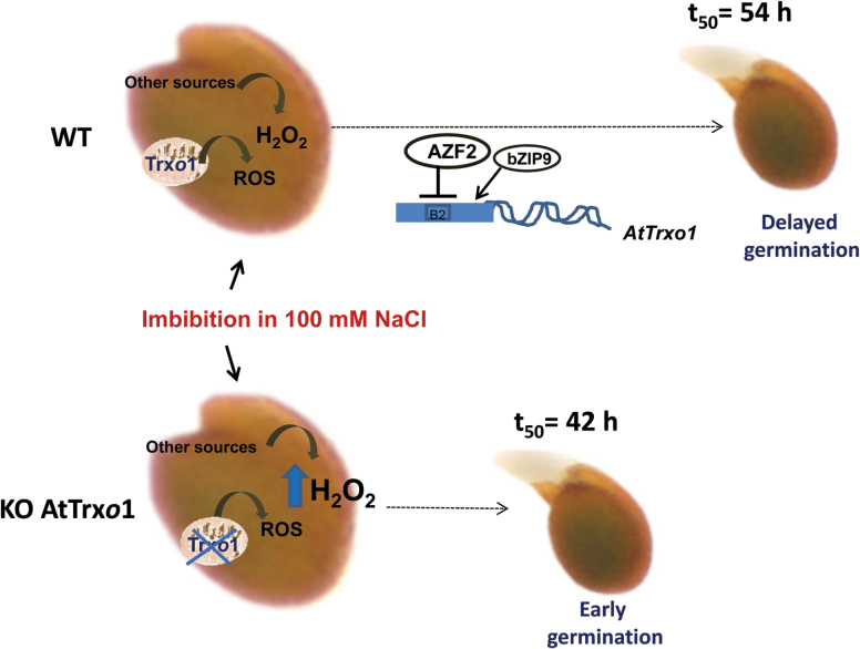 Fig. 10.