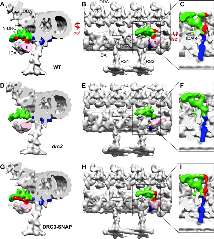 FIGURE 7: