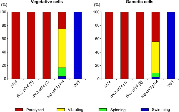 FIGURE 5: