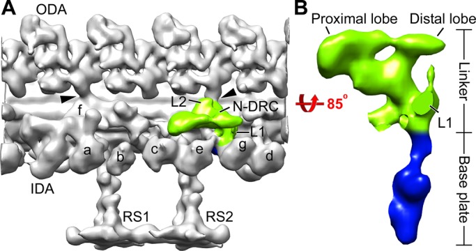 FIGURE 1: