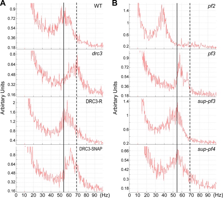 FIGURE 3: