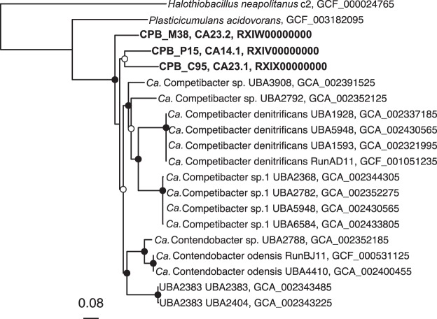 FIG 3