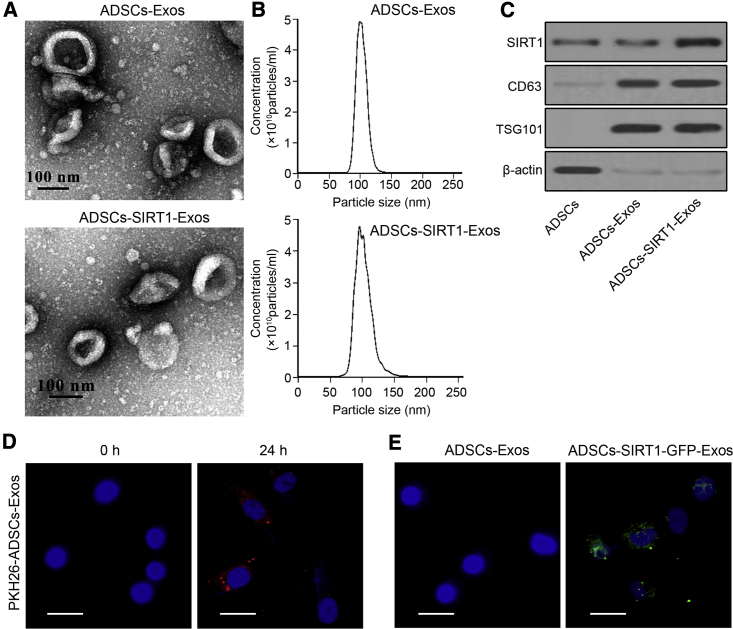 Figure 3