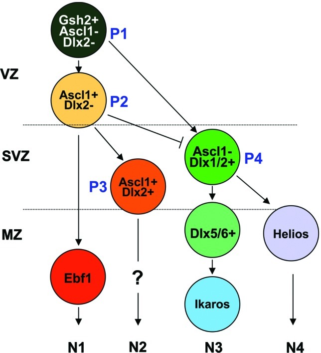 FIG. 8.