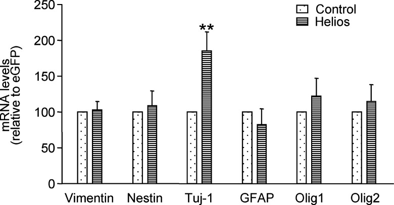 FIG. 7.