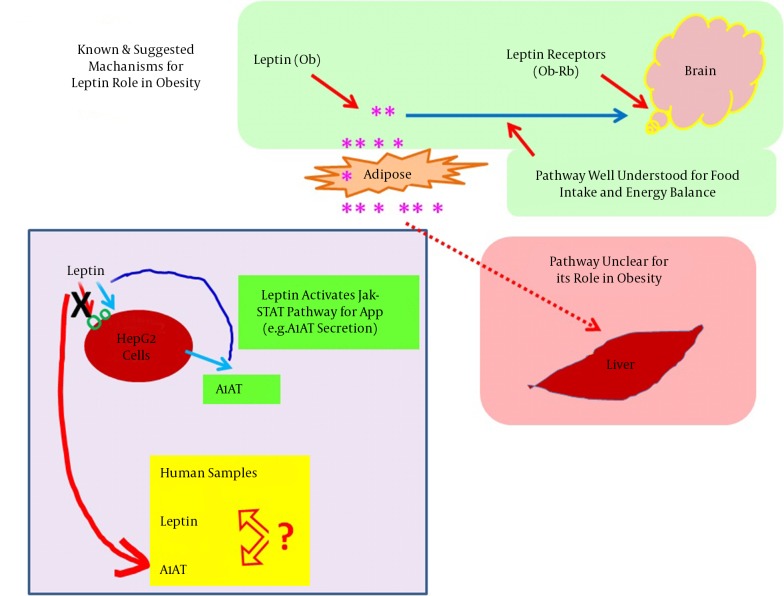 Figure 4.