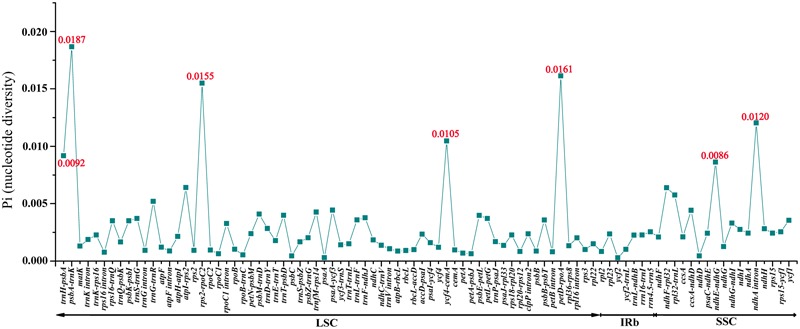 FIGURE 6