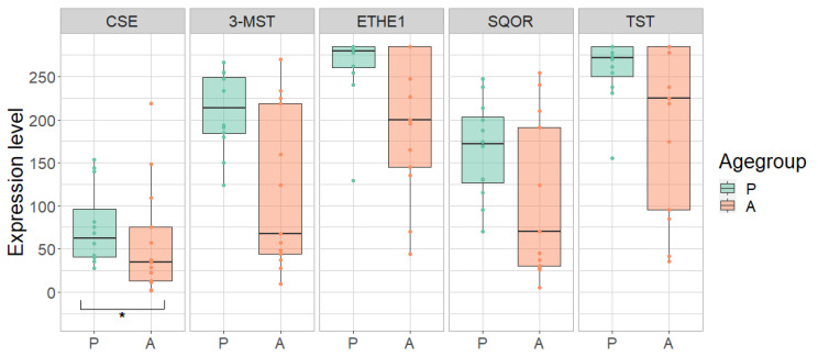 Figure 5