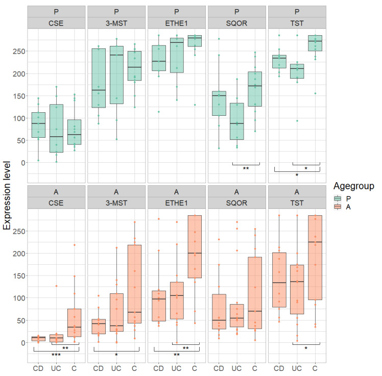 Figure 10