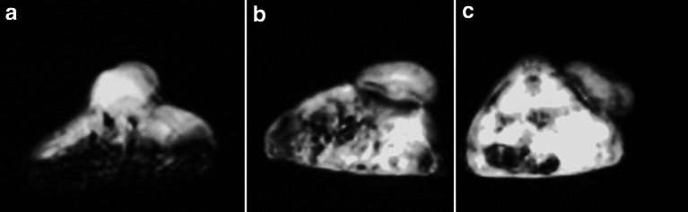 Fig. 4