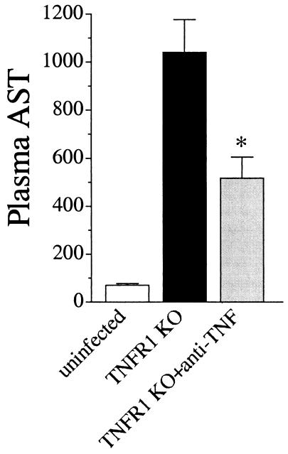 FIG. 8.