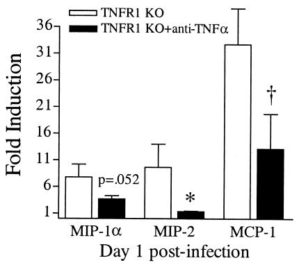 FIG. 9.