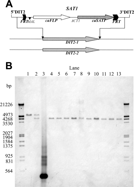 FIG. 4.