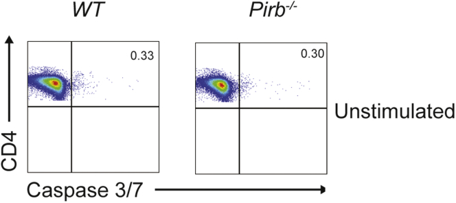 Figure 6