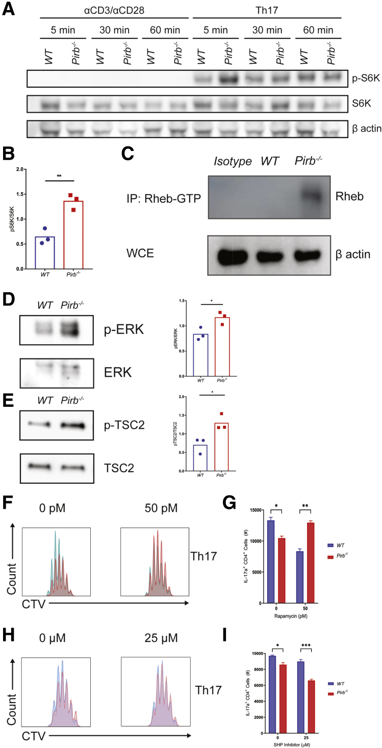 Figure 7