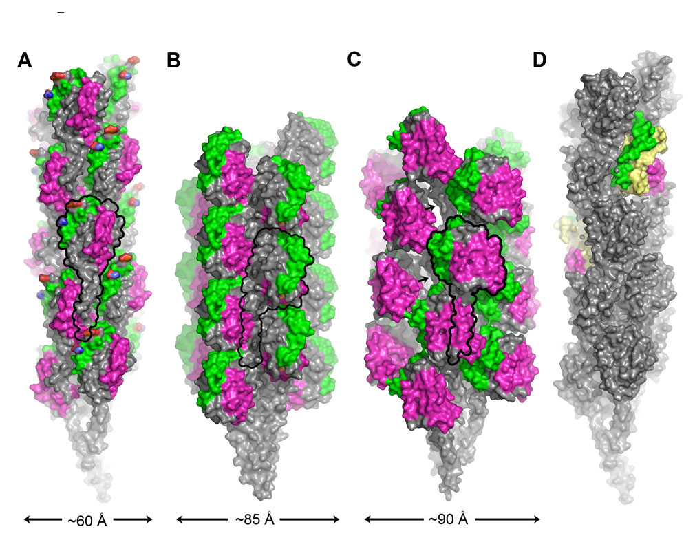 Fig. 3