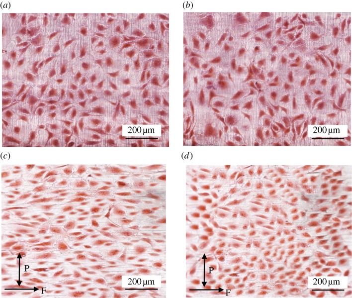 Figure 5.