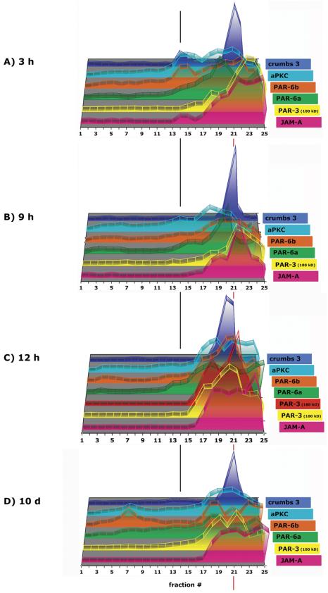 Figure 11.