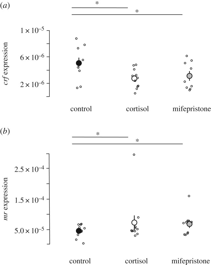 Figure 5.