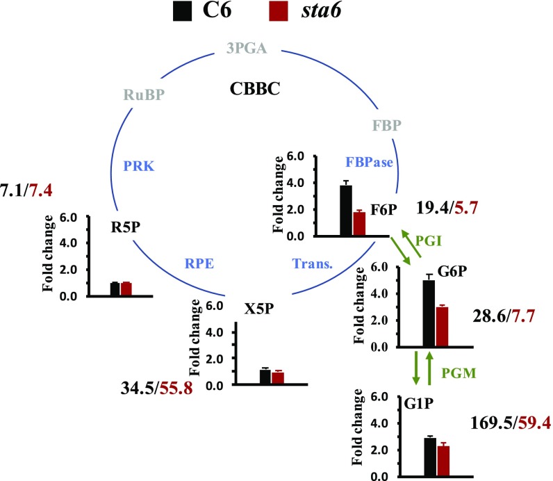 Fig. 6.