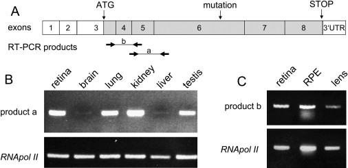 Figure 6