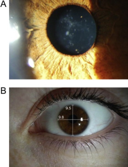 Figure 2