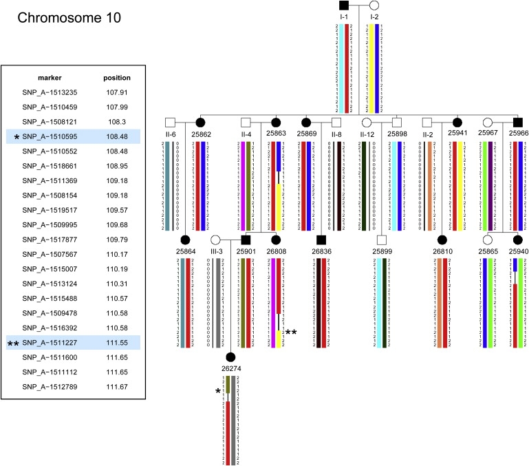 Figure 4