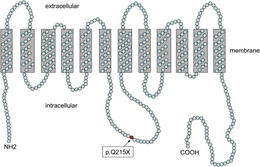 Figure 7