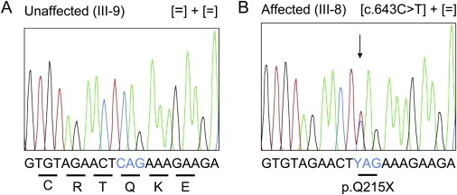 Figure 5