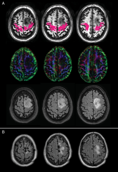 Fig. 1.