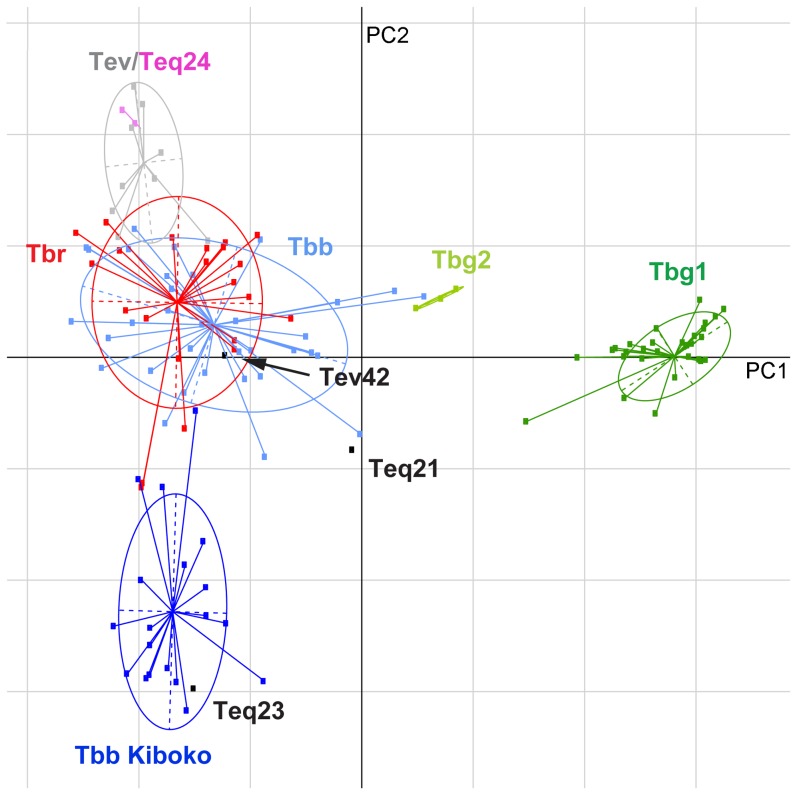 Figure 7