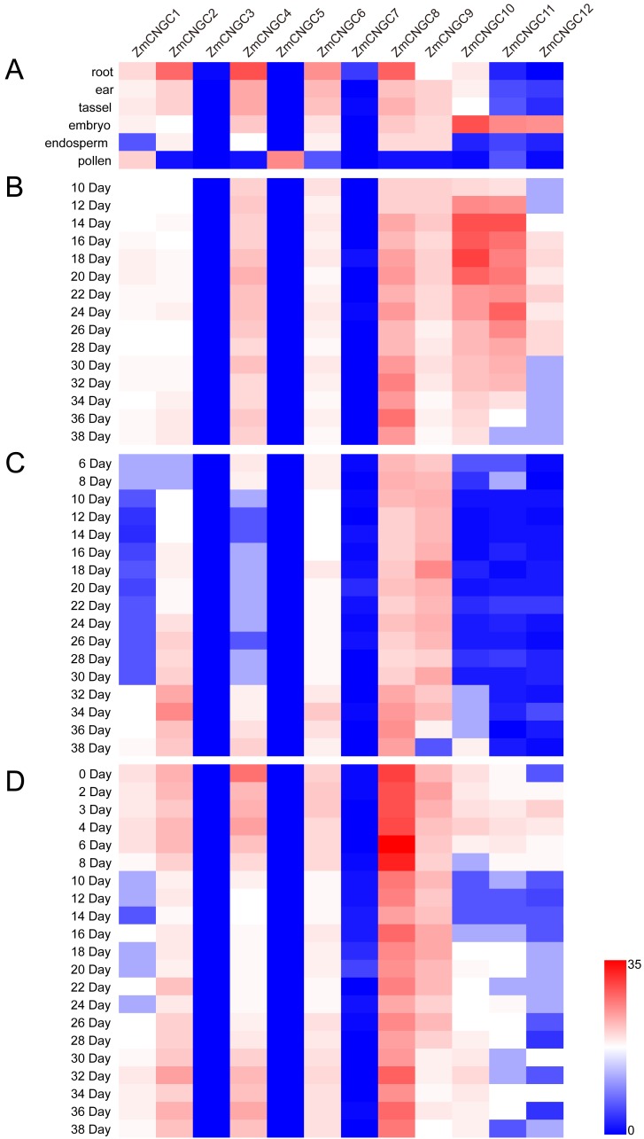 Figure 5