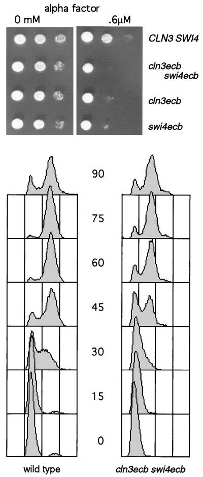 FIG. 7