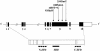 Figure  4