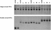 Figure  3