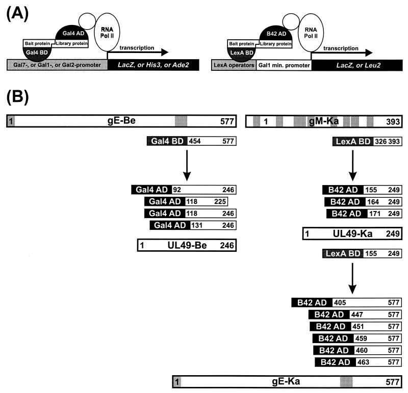 FIG. 4.