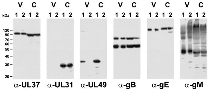 FIG. 5.