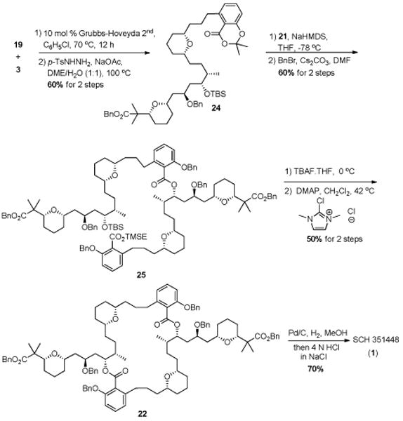 Scheme 5